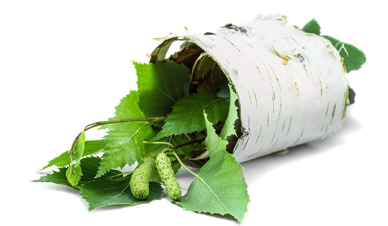Berk en schors extract als onderdeel van Demyxil CREAM