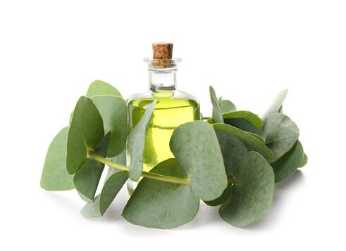 Eucalyptusolie als onderdeel van zxcvbnmqwert crème